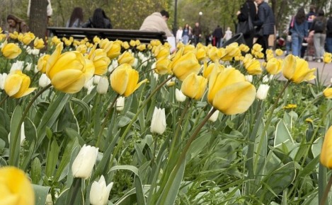 ����������� � ��������� ��������������� ��������� � ���������� �������