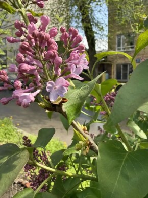 ������ ����, ������! ������ ��� ������������ � �� ������ ���������� �� ��� �������!