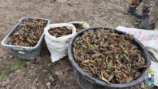 ���������� ����������� ������� � ������������ ����� �������� ����� 2 000 �����, ��������� ������������