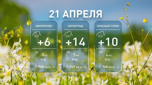 �������� � ���������: ������� ������ �� �������