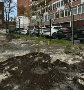 ������ ������� �������� �� ����� ���������� ���� � ������ ������� - �� ��. ����������������, 129