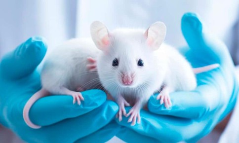 ��� ����� �������� � ���� ����