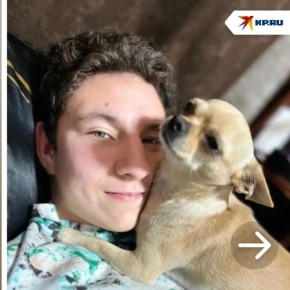 ��� ������������, ������ �� �������!�: ��� ��������� ��� ��� ������� ����, ������� � ������� �������� � ��������� ��������