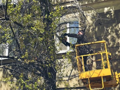 ������������ ������������� �� �������������� ����������