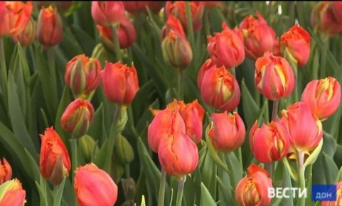 � ������� ����� �������� ������ ����� ���������