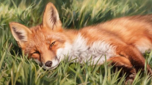 �� �������� ���, ���� �� ������� ������� � ������� ����������: ������� �� 27 ������