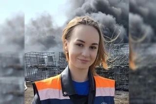 ���������� ����������� ������� ������ � ��� ������ �����������