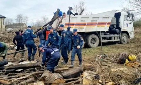 �� ����� ������� ��������� ������������� 11 ����������� �������