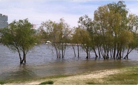 � �������� ���� ��������� �������� ����� ����