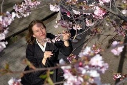 �� �������� ����������, ������ � �������-��-���� 28 ������ ������� ��������� �� ��������� � �������������