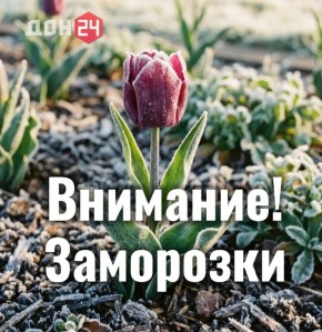 ��������� ��������� ������ �� ����