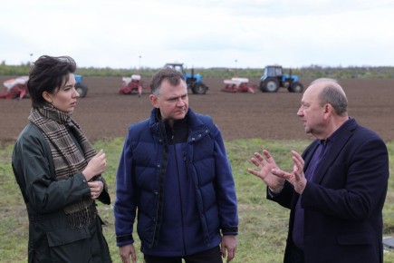 ���� ������� ����������� � ����� ��������� ���� � ������������������ ����-��������� ������