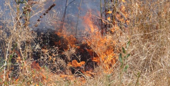 �� �������� ����� ������� ��������� ������������� ������ �������