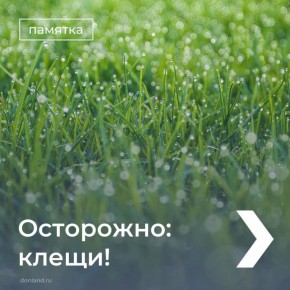 ��� ���������� �� ������, �������� � ���������