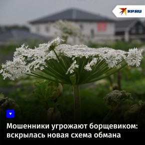 ��������� �������� ����������: ��������� ����� ����� ������