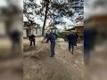 � �������������� ���������� �� ������ ������� � ������� �������� ������ ������ � ���������� 81-� ��������� ������� ������