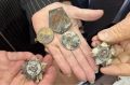 В Марьинке ростовские военные нашли убитого ветерана и опаленные боевые награды рядом с ним