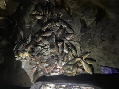 � ��������� ������������ ������������� ��������� ��� ����������
