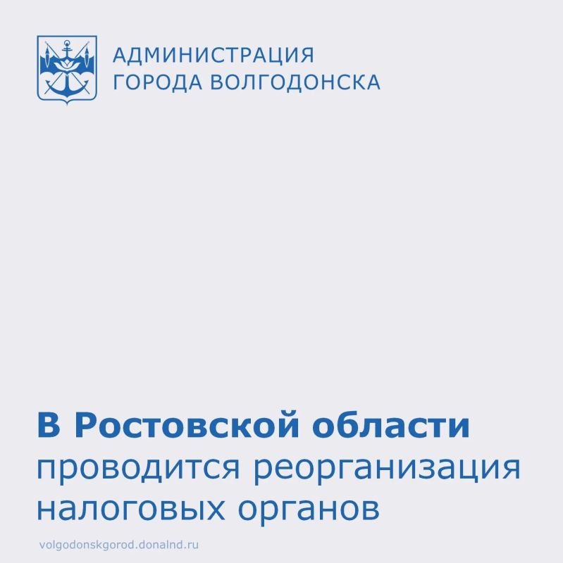 С 15 июня на Дону изменится структура налоговых органов