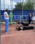 � �������� ������ ������������� ���� ��������� ��� ����� ����������