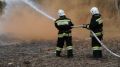 Обломки сбитых над Ростовской областью дронов вызвали лесные пожары