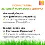 #БеремНаЗаметку. А вы замечали, как преобразились городские газоны в этом году?