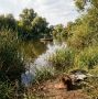 Рыбалку на большинстве водоёмов разрешат с 1 июня в Ростовской области