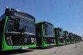 В Ростов прибыли 90 новых автобусов