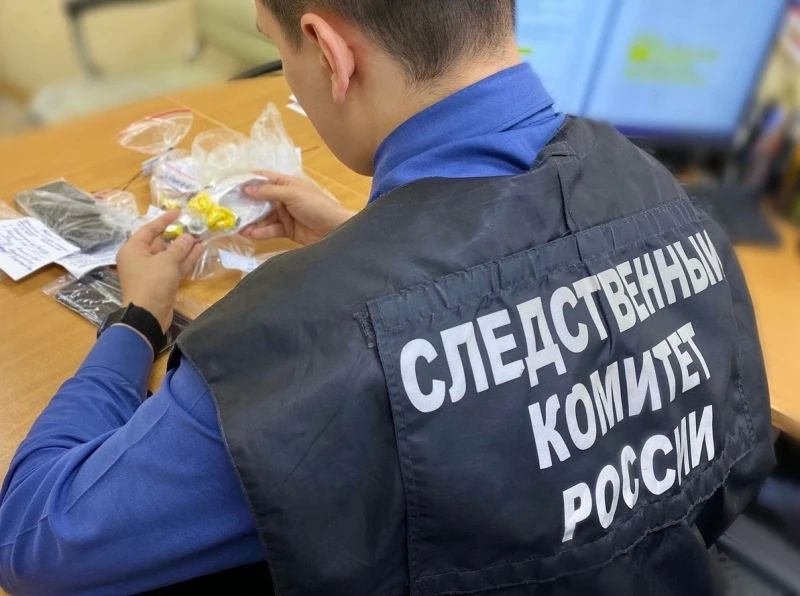 В Ростовской области двое несовершеннолетних подозреваются в покушении на сбыт наркотиков в значительном размере с использованием сети «Интернет»
