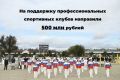 На поддержку донских профессиональных спортивных клубов направили 500 млн рублей
