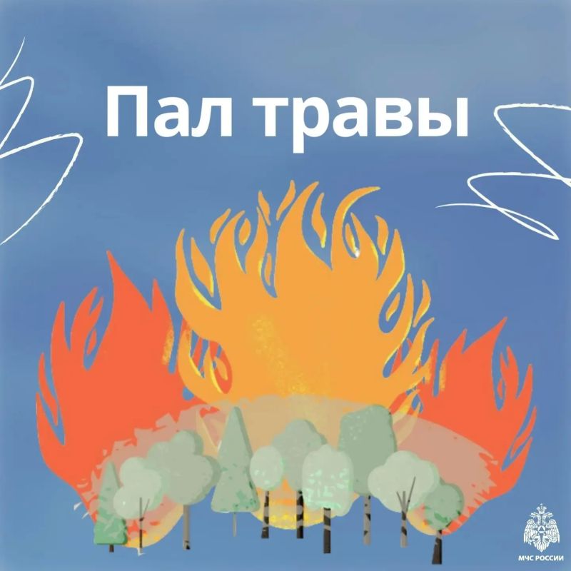 Пал травы: ошибка, которая может дорого обойтись!