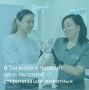 28 мая в Таганроге пройдет день льготной стерилизации животных