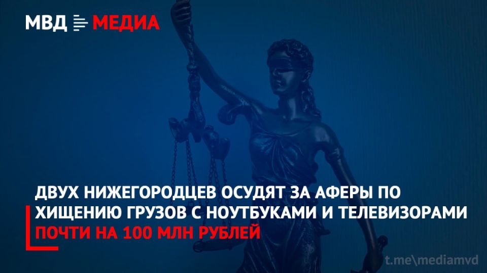 Двух нижегородцев осудят за аферы по хищению грузов с ноутбуками и телевизорами почти на 100 млн рублей