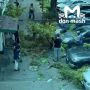 Ветка упала на голову ребёнка в Ростове