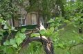 В Ростове из-за сильного ветра были зафиксированы случаи падения деревьев и крупных веток