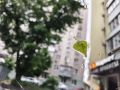 В Ростове введен режим повышенной готовности из-за непогоды