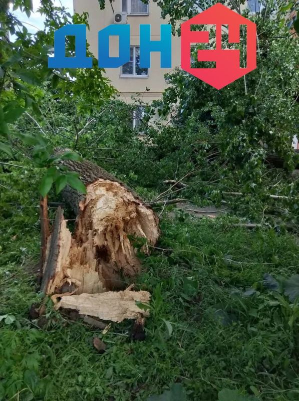 Деревья вырвало с корнем в пер