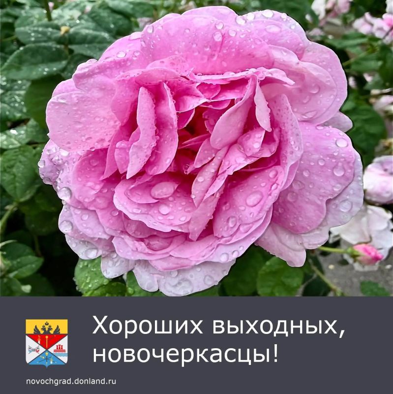 В субботу, 30 мая, ожидается пасмурно, небольшой дождь