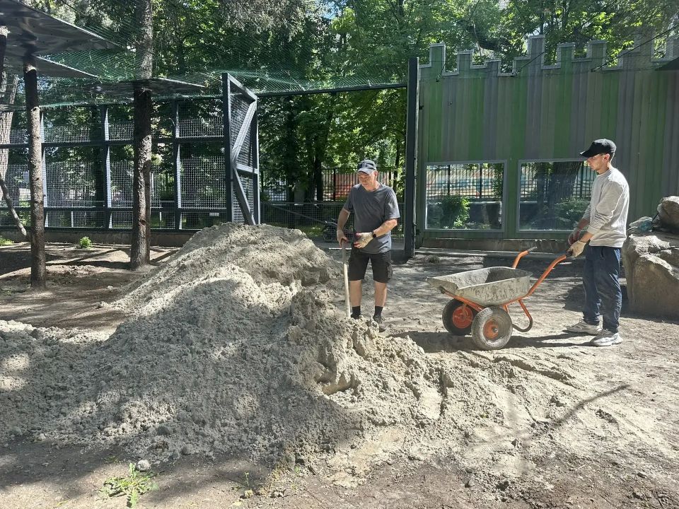 Новый вольер обустраивают ягуару в Ростовском зоопарке