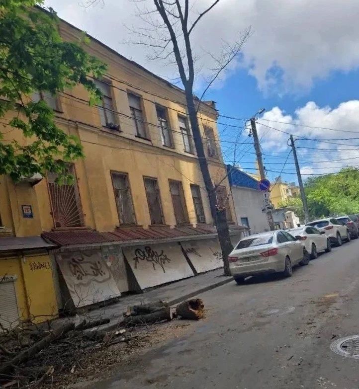 В Ленинском и Октябрьском районах по инициативе депутатов спилили сухие ветки