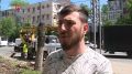 Около 60 аварийных деревьев спилили на пр. Ворошиловском