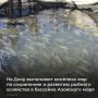 �� ��������� ����������� ������� ���� ������� �������� ������ ��������� ������ ����������� � �������� ��������� ����