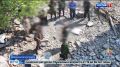 Более 250 особей рыбы разных пород изъяли у четырех рыбаков в районе станицы Кочетовской Семикаракорского района