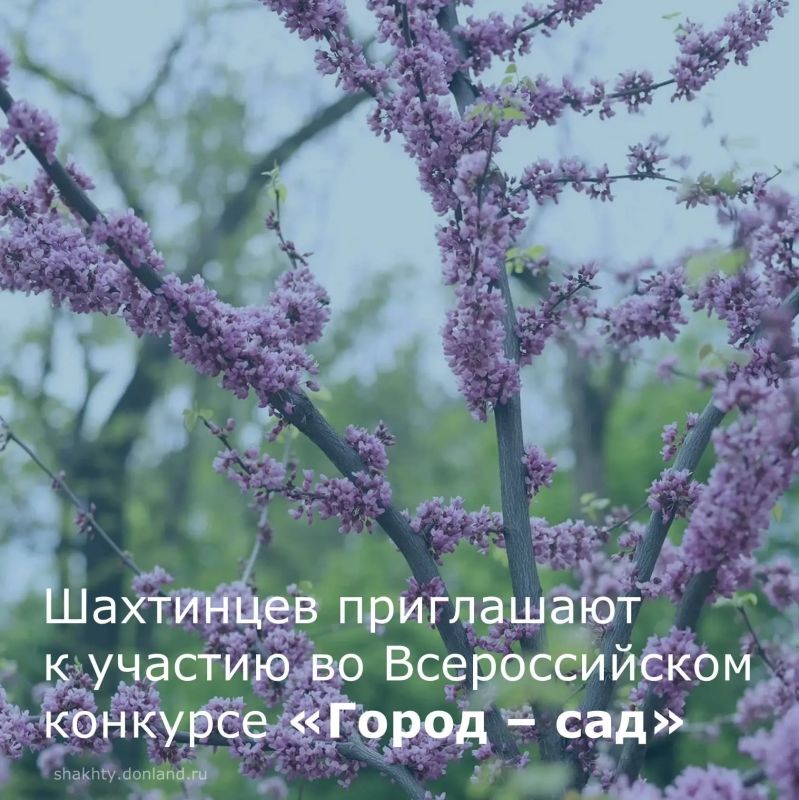 Шахтинцы могут принять участие во Всероссийском конкурсе «Город — сад»!