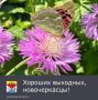 � ����������� ��������, � 12 �� 14 ����, ������� ������������� ������� ����� ������