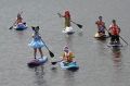 Джазовый концерт, фестиваль фламинго и морской карнавал: Куда сходить в Ростове 13 и 14 июня