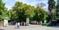 В ростовском парке им. М. Горького начал работать бесплатный Wi-Fi