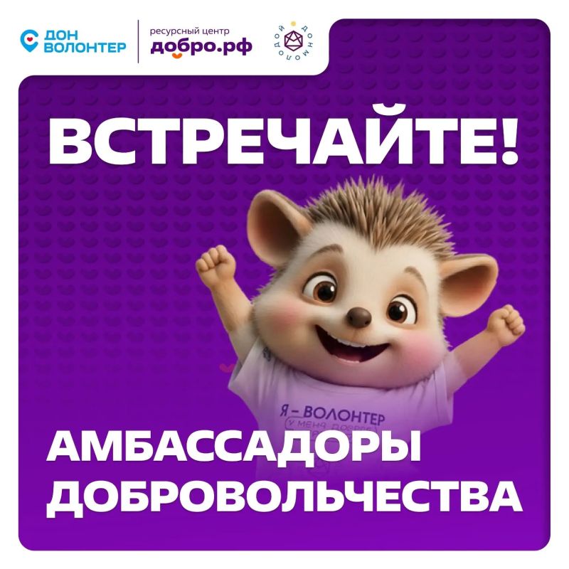 Добро.Центр «Финист» г. Шахты стал Амбассадором добровольчества