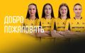 Состав главной гандбольной дружины Дона пополнили четыре новых игрока