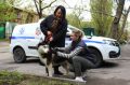 С начала года в Ростове бесплатно вакцинировали более четырех тыс. животных